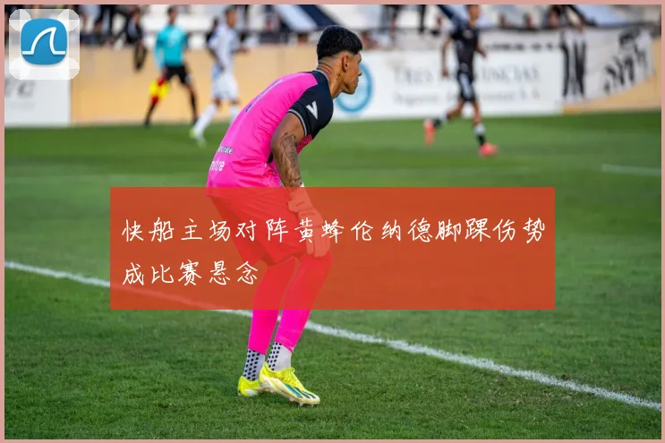 快船主场对阵黄蜂伦纳德脚踝伤势成比赛悬念