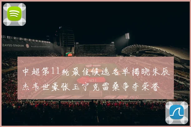 中超第11轮最佳候选名单揭晓朱辰杰韦世豪张玉宁克雷桑争夺荣誉