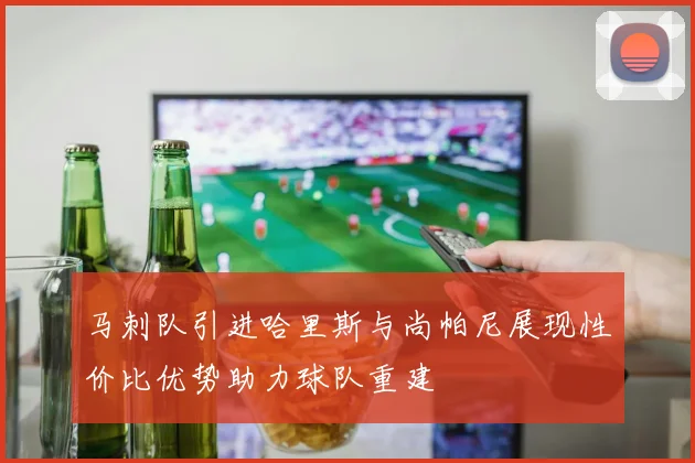 马刺队引进哈里斯与尚帕尼展现性价比优势助力球队重建